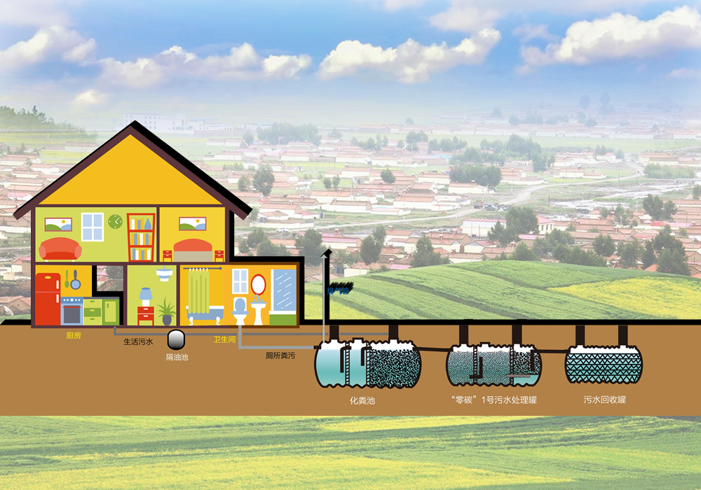 化粪池“变身”生态园：农村污水处理资源化利用新模式